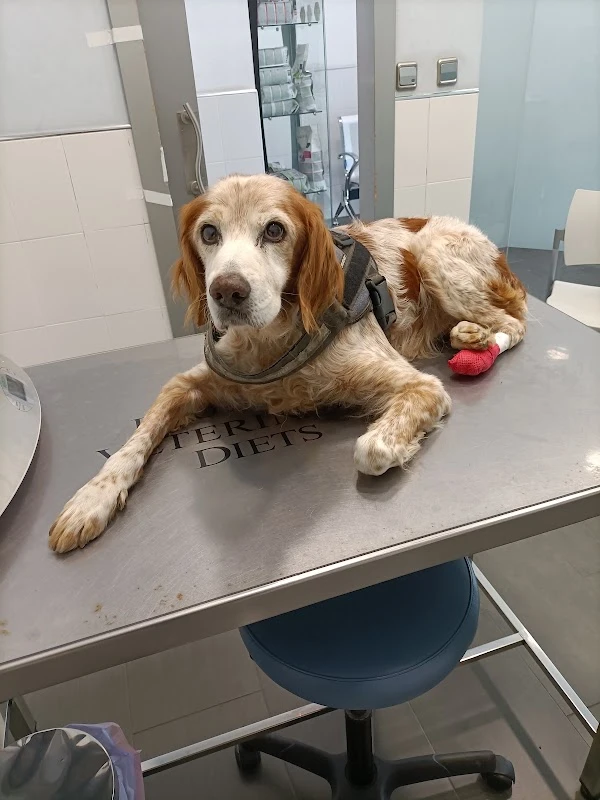 Clínica Veterinària Benimàmet en Valencia