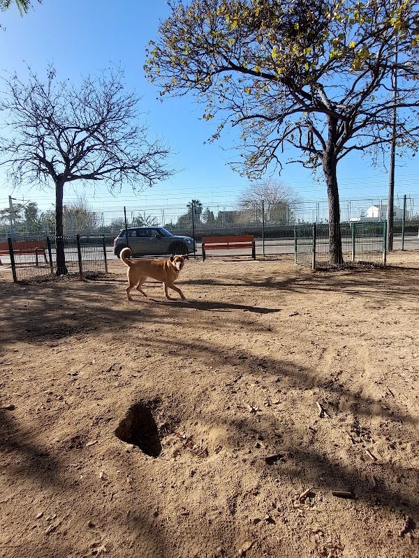 Zona canina Ingeniero Fausto Elio en Valencia