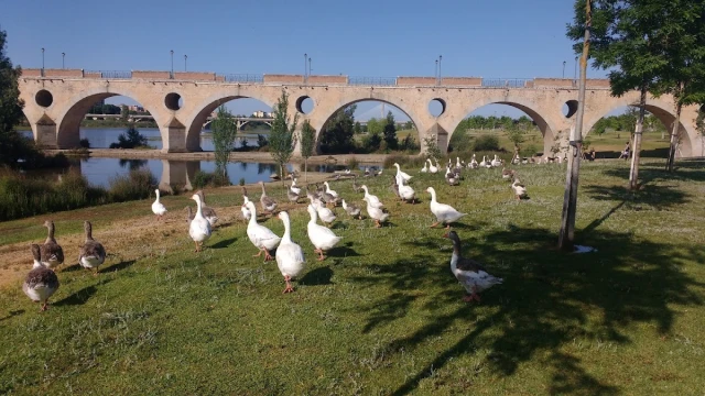 Parque del Guadiana en Badajoz