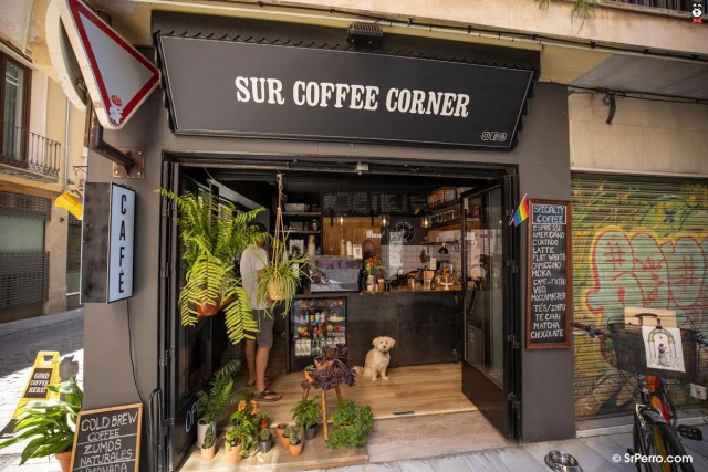 SUR Coffee Corner en Granada