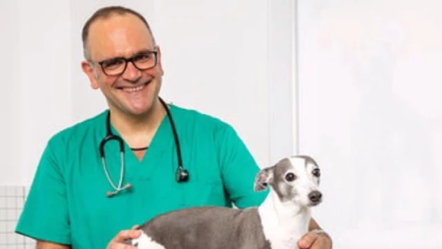 Ozavet Clínica Veterinaria en A Coruña