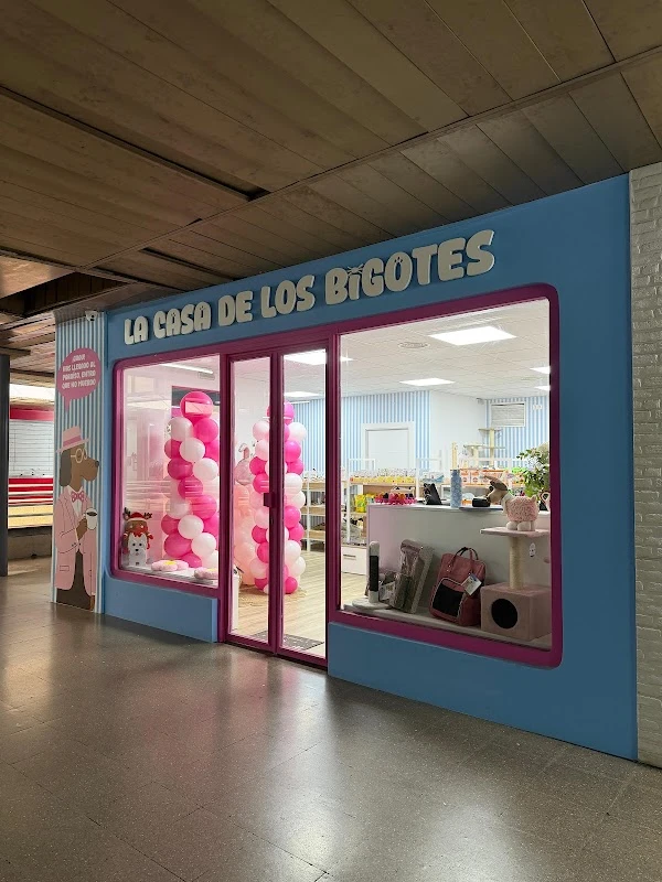 La Casa de los Bigotes en Córdoba