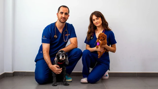 Hospital Veterinario Nueva Andalucía en Almería