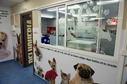 Mascotas Almería en Almería