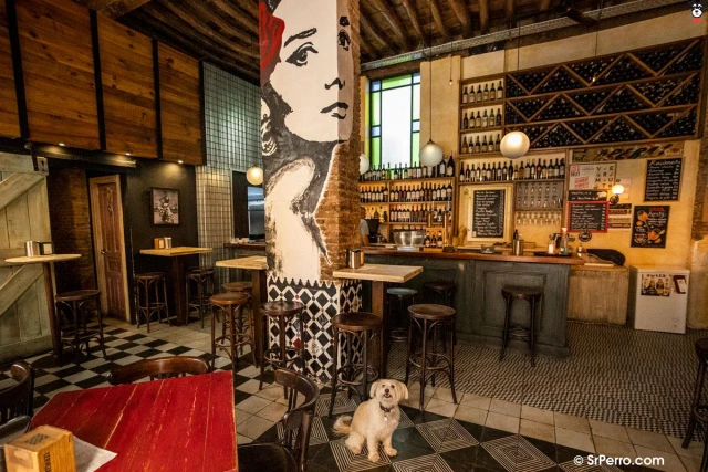 Bar Tocateja en Granada