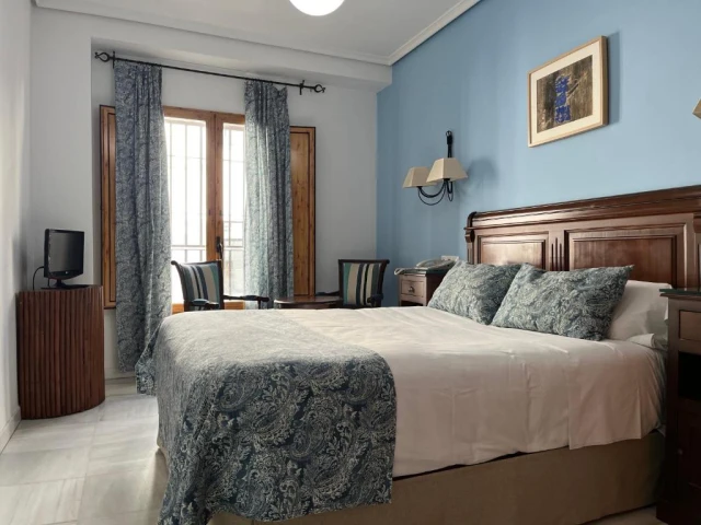 Hotel Maestre en Córdoba