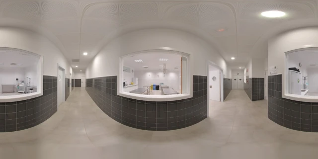 Hospital Veterinario UCV en Valencia