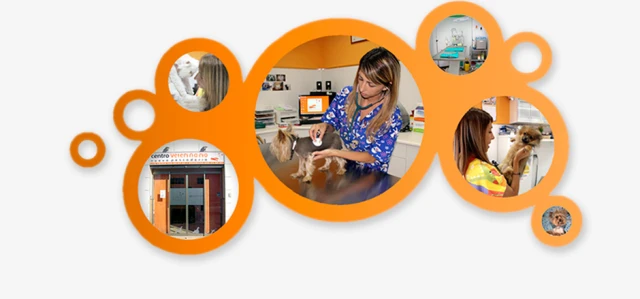 Centro Veterinario Nueva Pescadería en Huelva