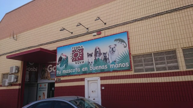 Terraviva Babel en Alicante