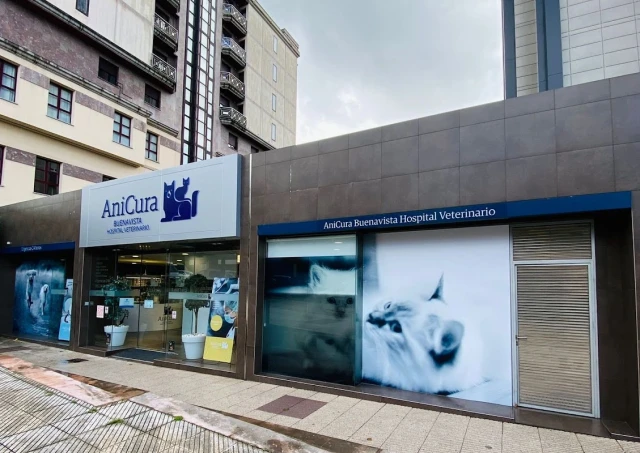 AniCura Buenavista Hospital Veterinario en Oviedo