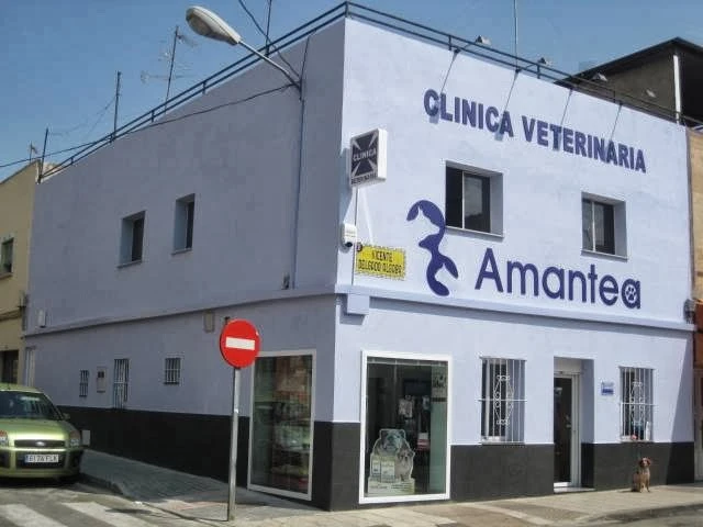 Clínica Veterinaria Amantea en Badajoz