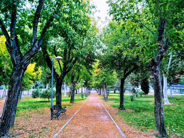 Zona canina Parque del Doctor Alfonso Carpintero en Córdoba