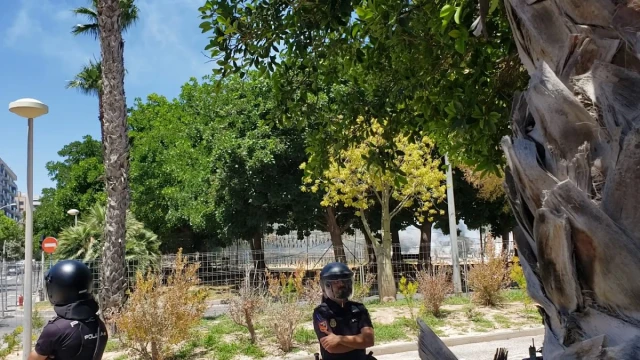 Zona de esparcimiento canino Parque PAU 5 en Alicante
