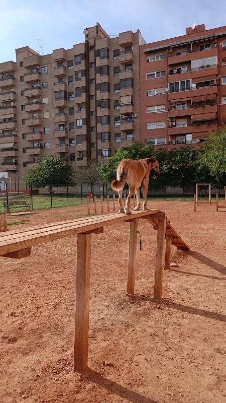 Zona canina Plaza Miquel Adlert Noguerol en Valencia