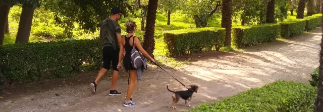 Jardín Botánico-Histórico La Concepción en Málaga