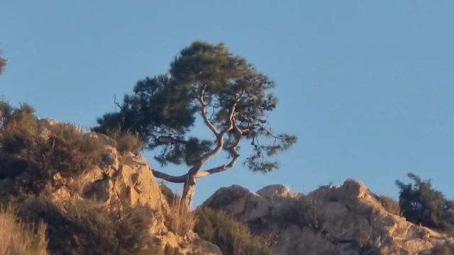 Sendero del Benacantil en Alicante