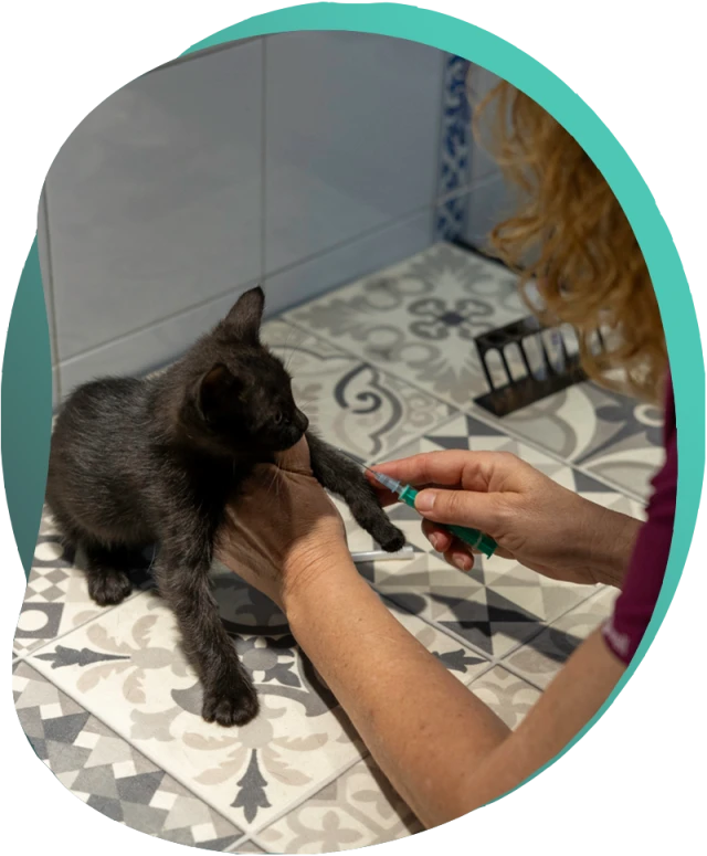 Clínica y Tienda Veterinaria Cortijo Grande en Almería