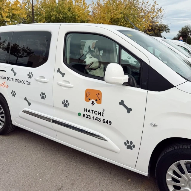 HATCHI Taxi de Mascotas en Valencia
