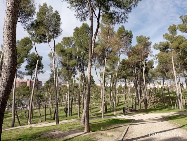 Parque Pinar de la Elipa