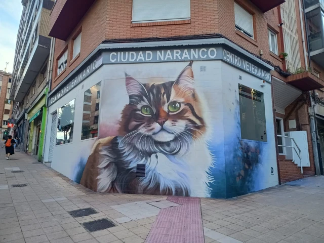 Centro Veterinario Ciudad Naranco en Oviedo
