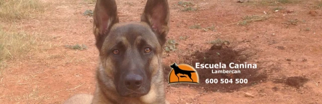 Escuela Canina Lambercan