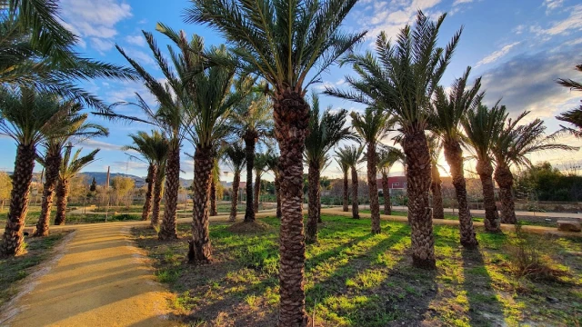 Jardines Murcia Río