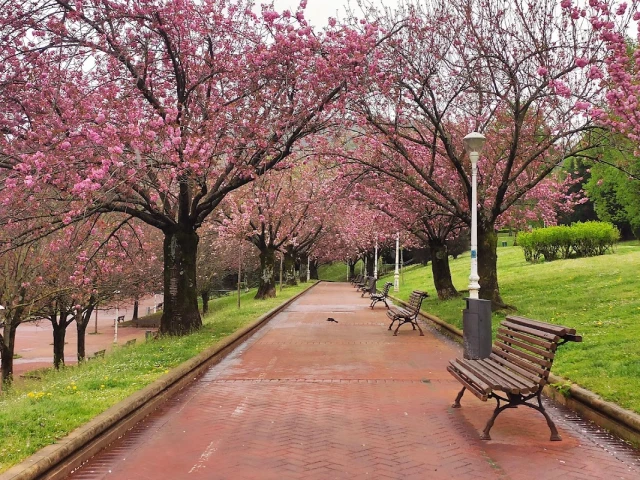 Zona canina del Parque Eskurtze en Bilbao