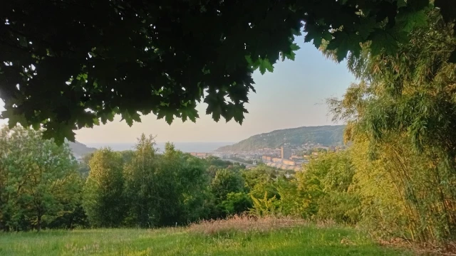 Parque Puyo - zona de esparcimiento canino en San Sebastián