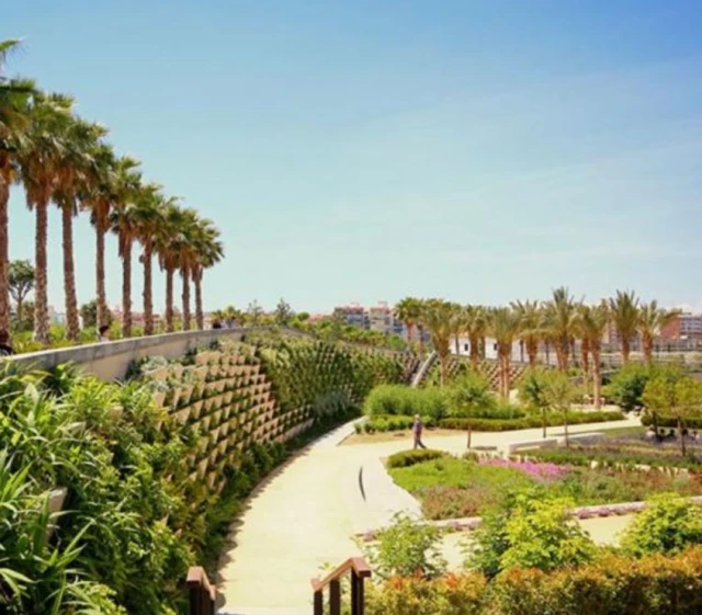 Zona canina Parque Central en Valencia