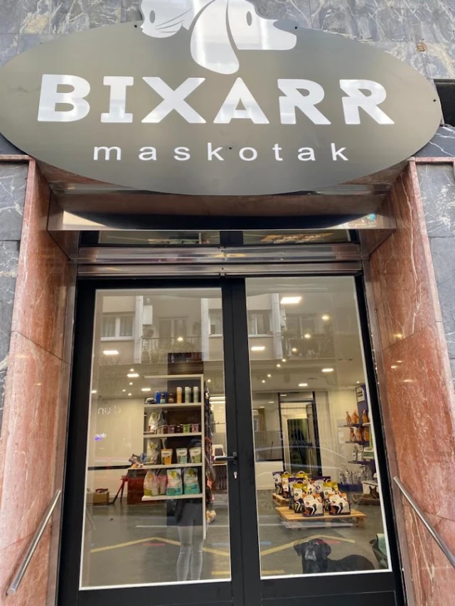 BIXARR MASKOTAK en San Sebastián