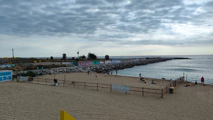 Área para perros de la Platja de Llevant en Barcelona