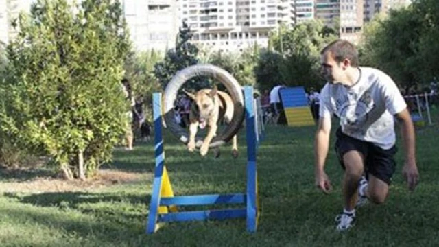 Parque Canino Nero – Parque del Príncipe en Cáceres