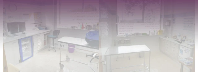 Cliper's Clinica Veterinaria