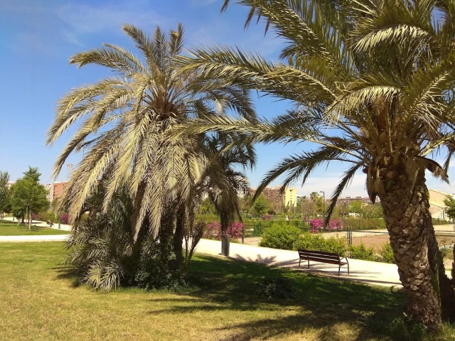 Zona canina Parque de Malilla en Valencia