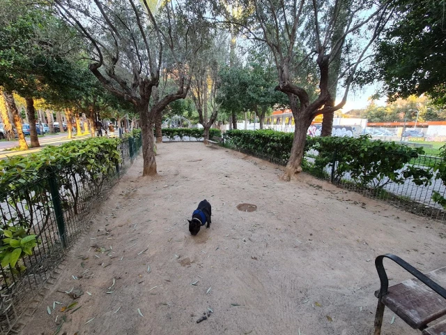Zona canina Ruaya - Platero Suárez en Valencia