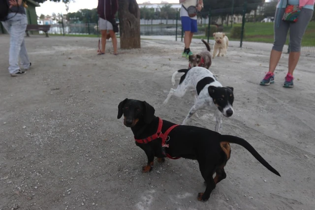 Parque canino Parque de María Luisa en Málaga