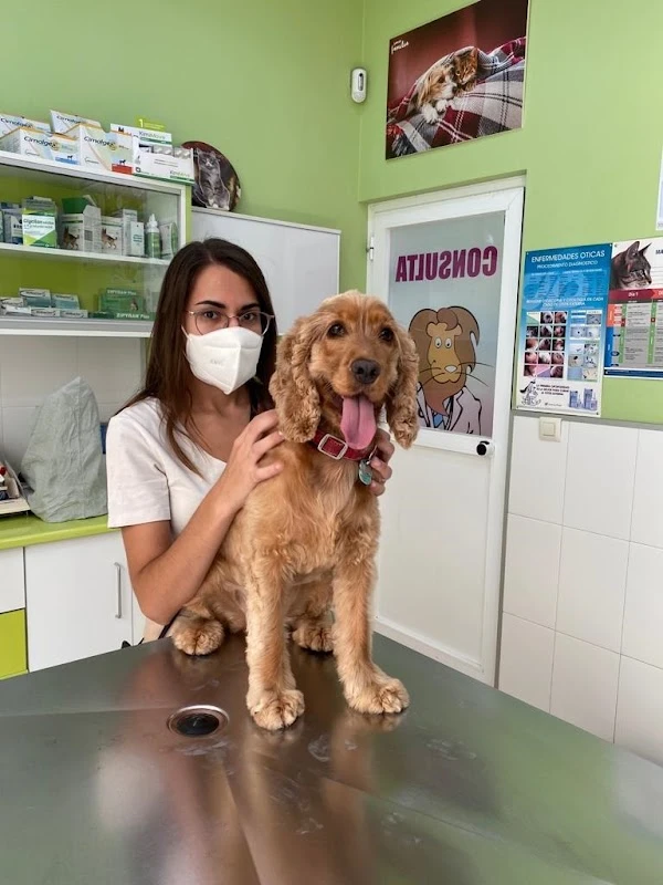 Clínica Veterinaria Corazón de León
