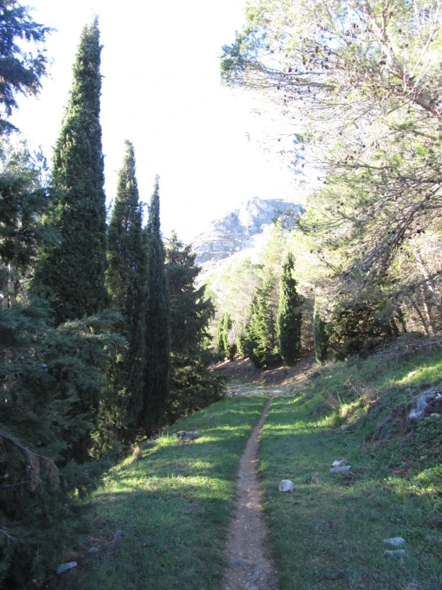 Ruta Vereda del Pincho - Puerto del Aire en Jaén