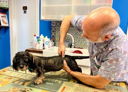 Animalfisio Clínica Veterinaria en Almería