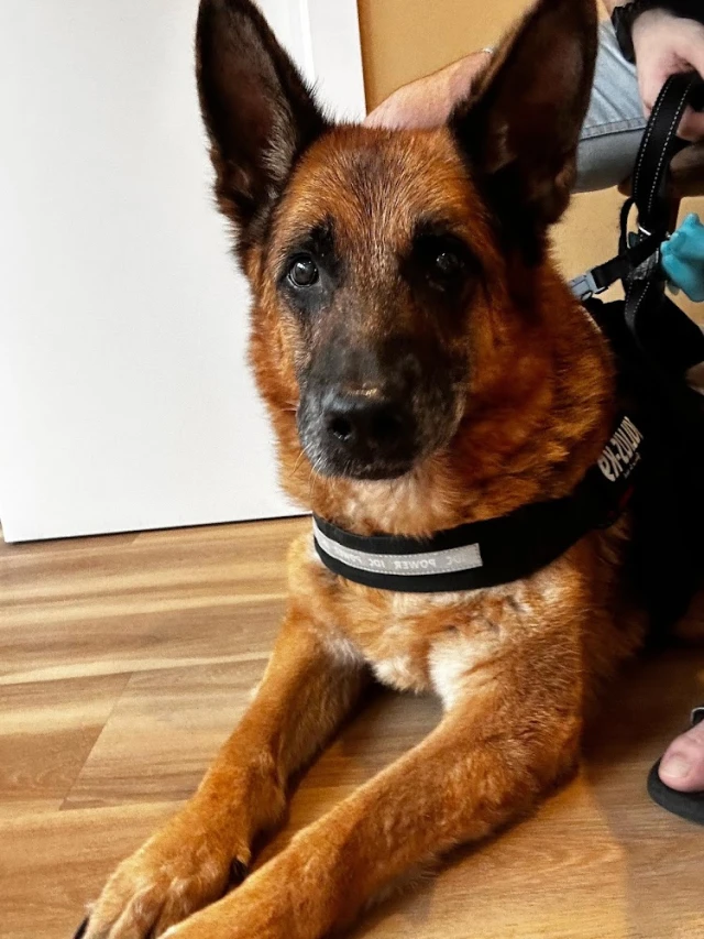 Ancana Clínica Veterinaria en Huelva