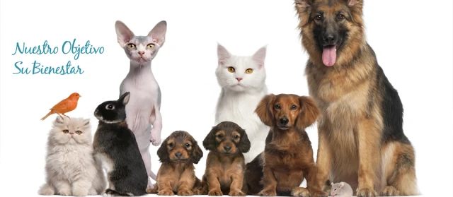 Clínica Veterinaria Alcazaba en Badajoz