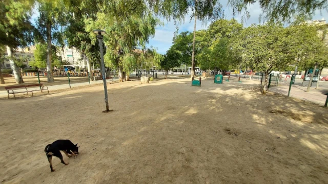 Zona ZECA - Parque Canino