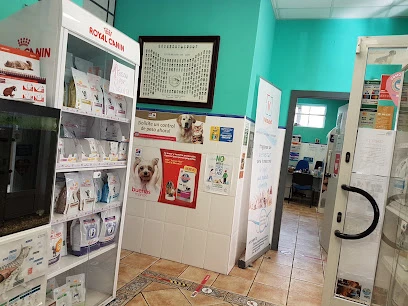 Clínica Veterinaria Asturcón en Gijón