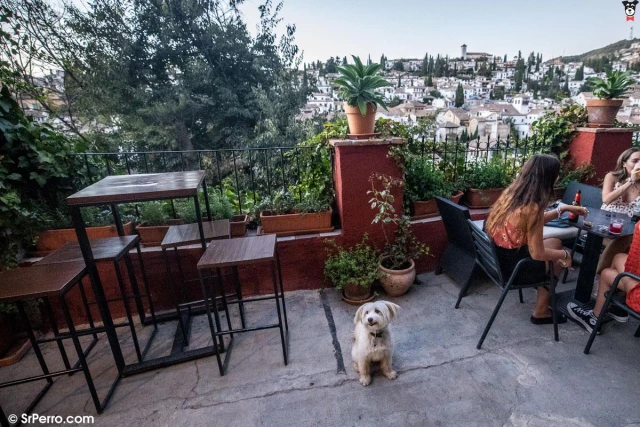 Huerto del Loro Rooftop Granada en Granada