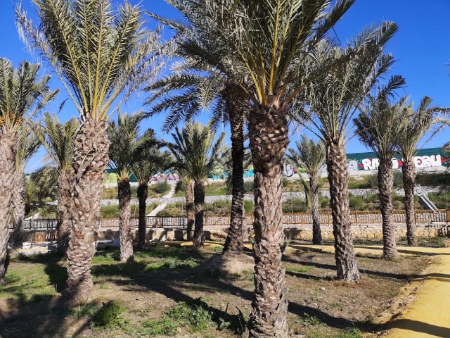 Jardín de la Alameda