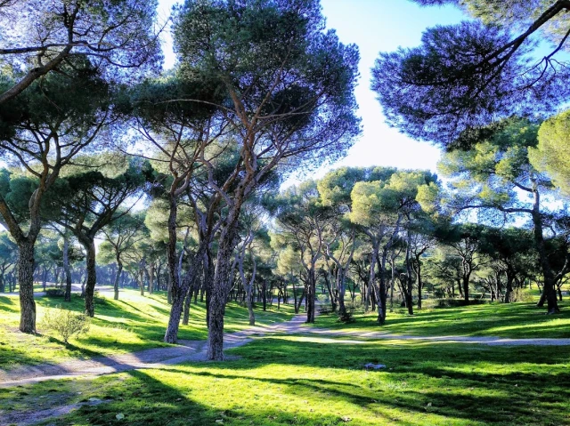Parque Dehesa de la Villa