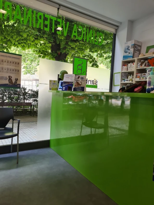 Clínica Veterinaria San Bernardo en San Sebastián