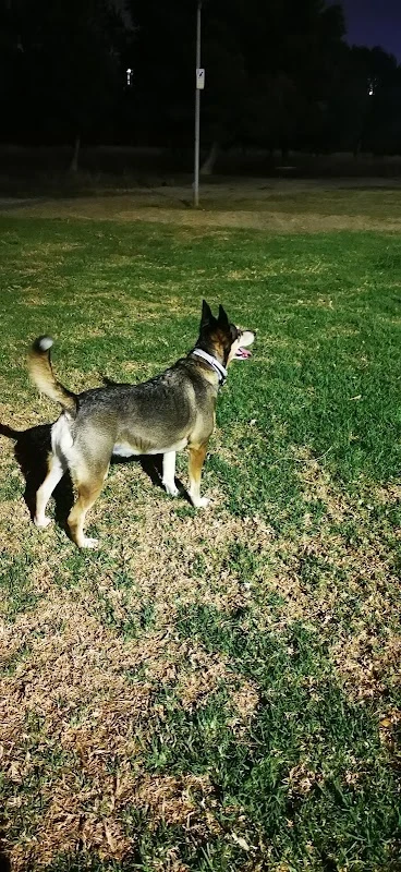 Parque canino de San Gabriel en Alicante