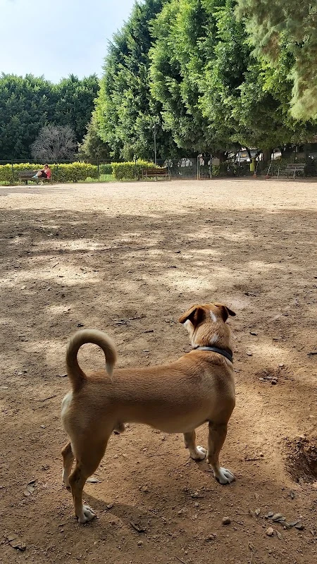 Zona canina Plaza Enric Granados en Valencia