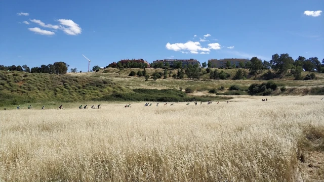Área Canina Montesol en Cáceres